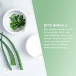 Ingredients Of Body Scrub Aloe & Cucumber - MG Wellness Shop